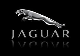 Jaguar Silver 1