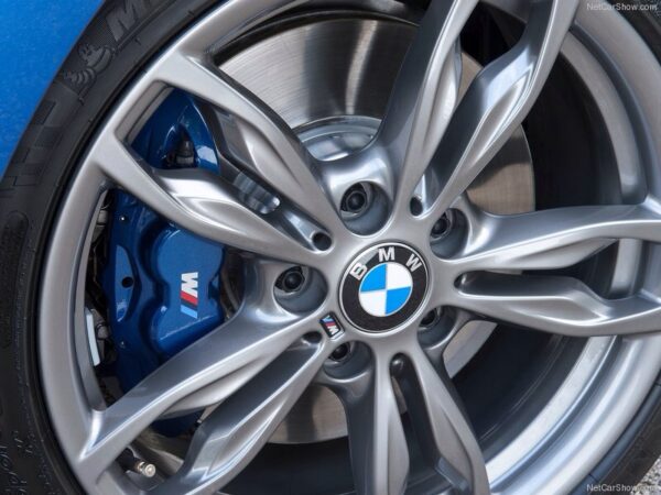 BMW FERRIC 2 (24-00-102)