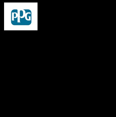 PPG BLACK PRIMER P811N001R-YD