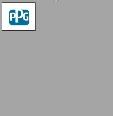PPG GREY PRIMER P821G969R-YD