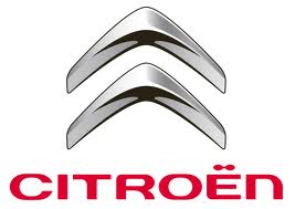 Citroen Coarse Silver